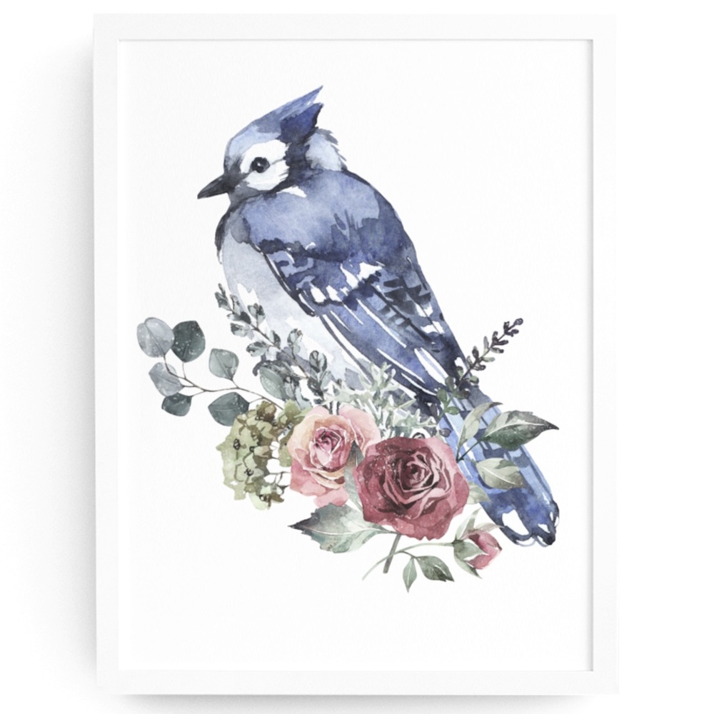 Blue Jay Bird Watercolor Wall Art Print Poster Unframed - Picture 1 of 17